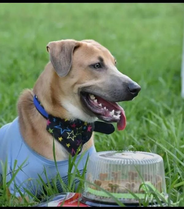 WhatsApp Image 2025-08-28 at 12.40.36 AM